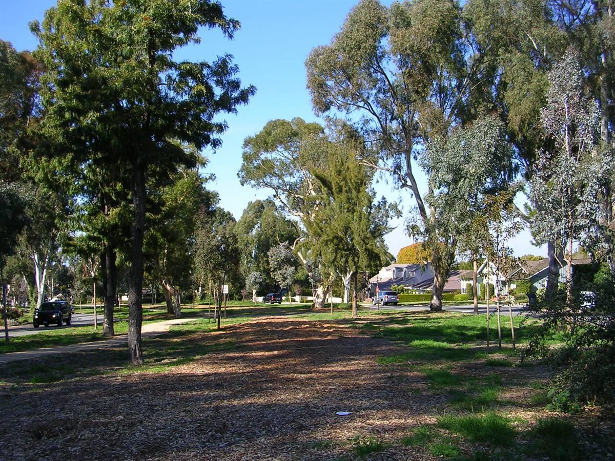 Valmonte Tree Section