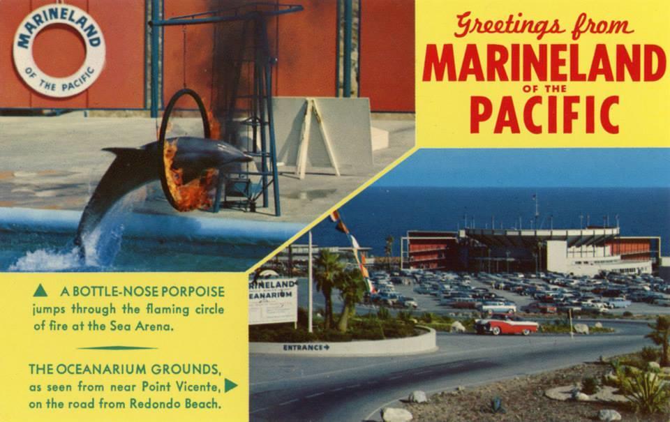 MarinelandpostcardGeoffHagins.jpg