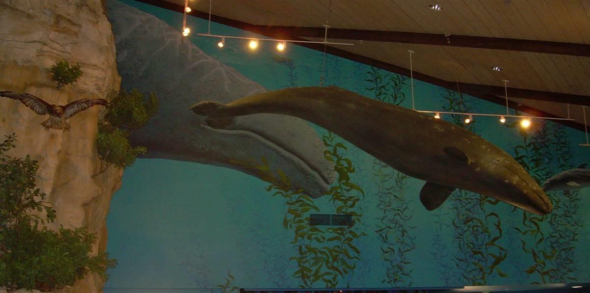 Point Vicente Interpretive Center Lobby