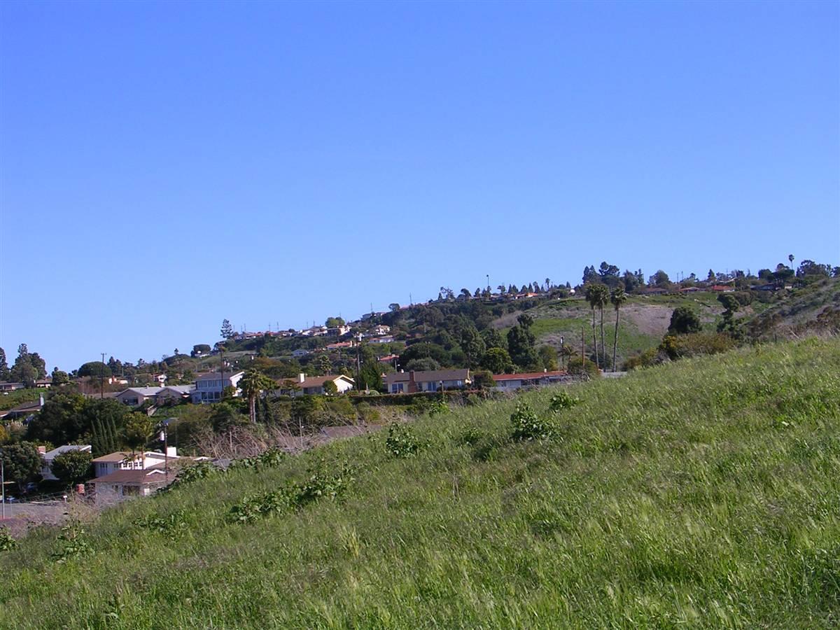 Silver Spur Hillside Homes